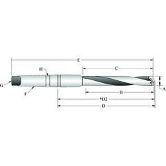 24010H-003IS T-A® Spade Blade Holder - Helical Flute- Series 1 - USA Tool & Supply