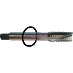 ‎12-24 Dia-H3-3 FL-Std Spiral Point Tap - Black Ring - USA Tool & Supply