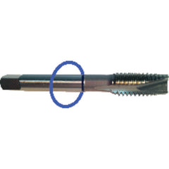 ‎M2.5 x .45 Dia-D3-2 FL-Std Spiral Point Tap - Blue Ring - USA Tool & Supply