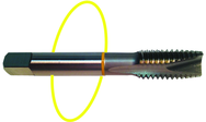 3/4-10 Dia. - H3 - 3 FL - Std Spiral Point Tap - Yellow Ring - USA Tool & Supply