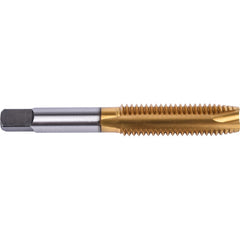 M5 x0.80 MM 2 Flute Plug Union Butterfield HSS TiN M Relieved Style Spiral Point ANSI E-code # TN1785M5 - Exact Industrial Supply