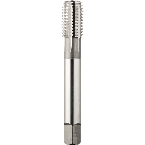 2105 M12 × 1.25 D10 FORM BOTTOM BRT - Exact Industrial Supply