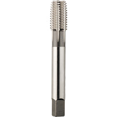 2105 M16 × 2.00 D14 FORM PLUG BRT - USA Tool & Supply
