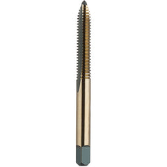 ‎6-32 S/P H2 2FL B/G - USA Tool & Supply