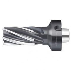 F1682.N8.050.Z06.80.P - USA Tool & Supply
