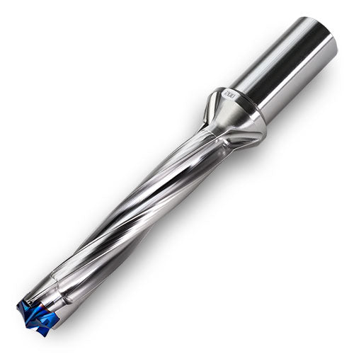 FD1900095T5R00